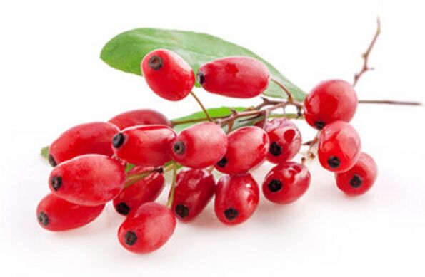barberry jagode za izogibanje alkoholu