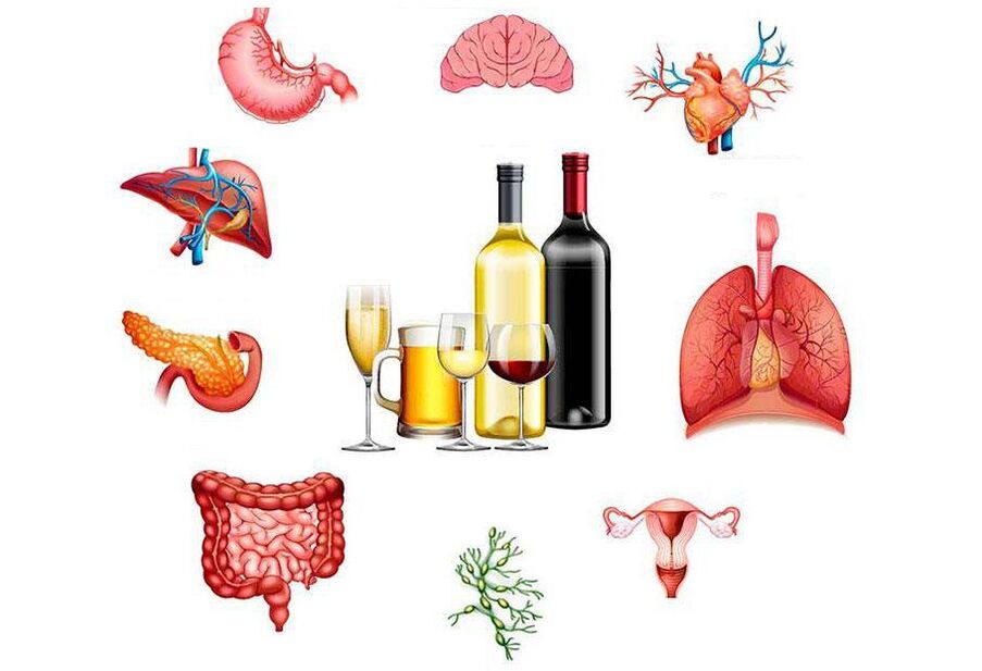 učinek alkohola na telo